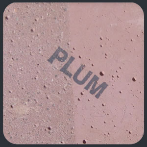 Plum